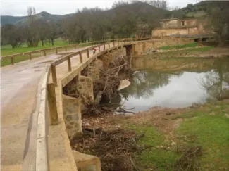 La Confederación Hidrográfica del Guadiana realiza trabajos de conservación en el tramo de río Guadiana comprendido entre el Puente de Alarcos y...