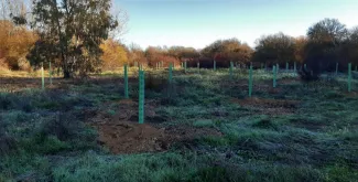 La Asociación Cívica Ciudad de Badajoz felicita a la Confederación Hidrográfica del Guadiana por los trabajos de conservación realizados en el...