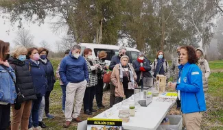 Miembros de la Universidad de Mayores de Mérida visitan el Centro de Interpretación El Berrocal, Antigua Fábrica de Luz