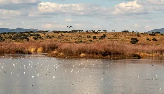 La Confederación Hidrográfica del Guadiana programa actividades para celebrar el Día Mundial del Agua 2022