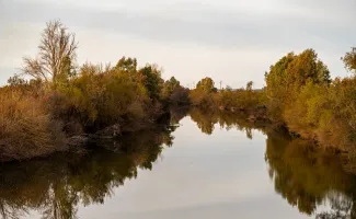 La Confederación Hidrográfica del Guadiana colabora con el proyecto “Únete a 1m2 contra la basuraleza”