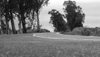 La Confederación Hidrográfica del Guadiana mejorará la señalización de la carretera de Orellana a Cerro Patín