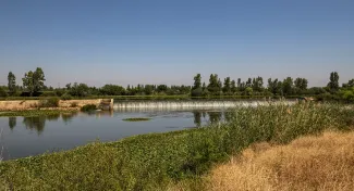 La Confederación Hidrográfica del Guadiana inicia los trabajos de Mejora de la continuidad fluvial del río Guadiana en el azud de la Pesquera...
