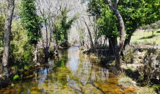 La Confederación Hidrográfica del Guadiana inicia las obras de Implantación de las medidas de gestión de las reservas naturales fluviales y de...