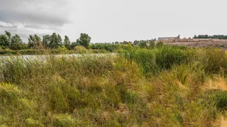 Se licita el proyecto de Restauración fluvial del paraje de las Bardocas y Brazo Jamaco en Badajoz