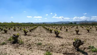 La Confederación Hidrográfica del Guadiana convoca a las Juntas de Explotación de las Masas de Aguas Subterráneas de la cuenca del Guadiana