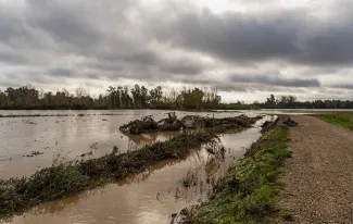 El Gobierno ratifica las obras de emergencia para reparar las infraestructuras hidráulicas de las Vegas Bajas del Guadiana