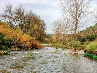 La Confederación Hidrográfica del Guadiana licita la restauración ambiental del río Múrtigas