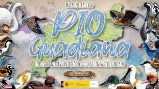 PIO GUADIANA Puntos de Interés Ornitológico de la cuenca del Guadiana
