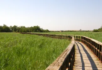 La Confederación Hidrográfica del Guadiana celebra el Día Internacional de las Reservas de Biosfera en el P.N. de las Tablas de Daimiel
