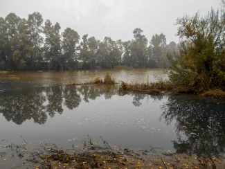 La Confederación Hidrográfica del Guadiana detecta un vertido contaminante al arroyo Tripero a la altura del núcleo urbano de San Serván