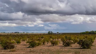 La Confederación Hidrográfica del Guadiana convoca a las Juntas de Explotación de las Masas de Aguas Subterráneas de la cuenca del Guadiana