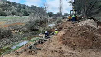 La Confederación Hidrográfica del Guadiana continua con los trabajos de restauración del arroyo Alarconcillo en Ossa de Montiel