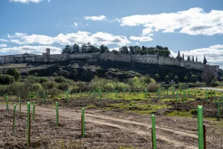 La Confederación Hidrográfica del Guadiana trabaja en la restauración ambiental del paraje de Las Bardocas y Brazo Jamaco