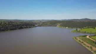 Embalse de Vicario