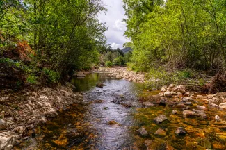 Río