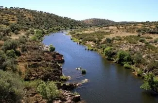 Río Ardila