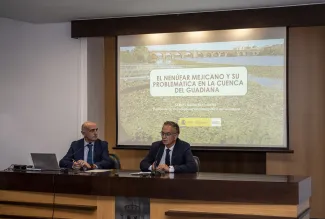 Rueda de prensa nenúfar mejicano