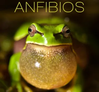La Confederación Hidrográfica del Guadiana participa en la Exposición Anfibios