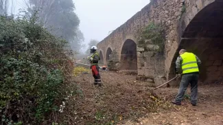 La Confederación Hidrográfica del Guadiana finaliza las labores de limpieza forestal en el puente de Cantillana