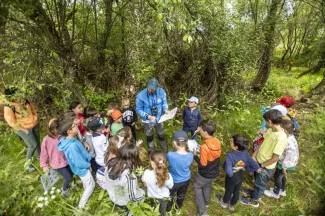 Actividad medioambiental