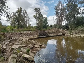 Restauración río Ardila