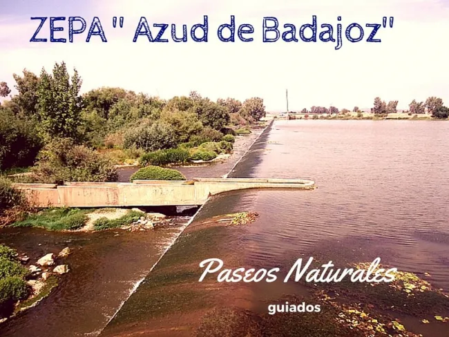 ZEPA “Azud de Badajoz”