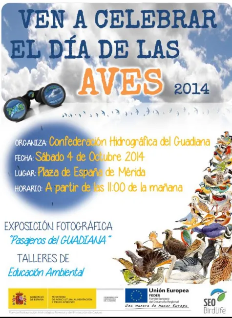 Dia de las Aves
