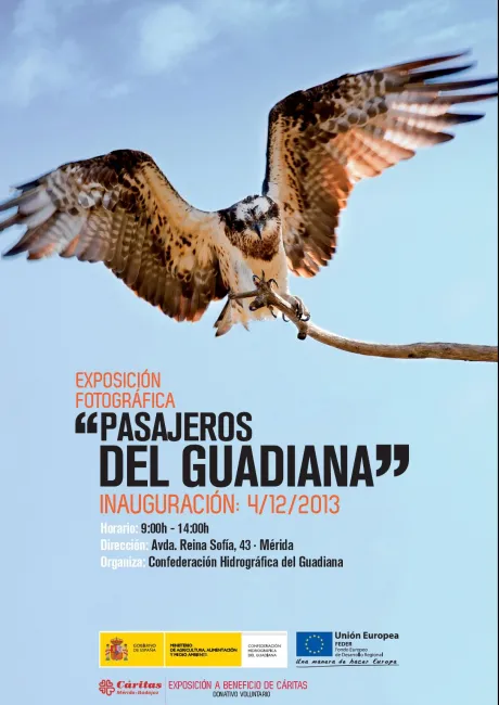 Pasajeros del Guadiana