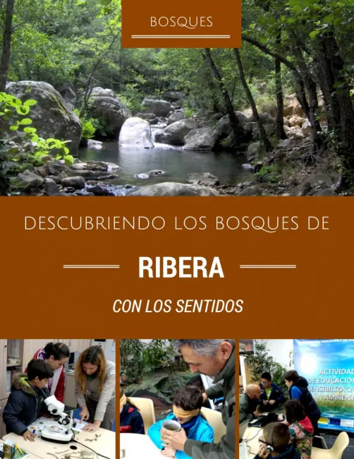 Iber-Foresta
