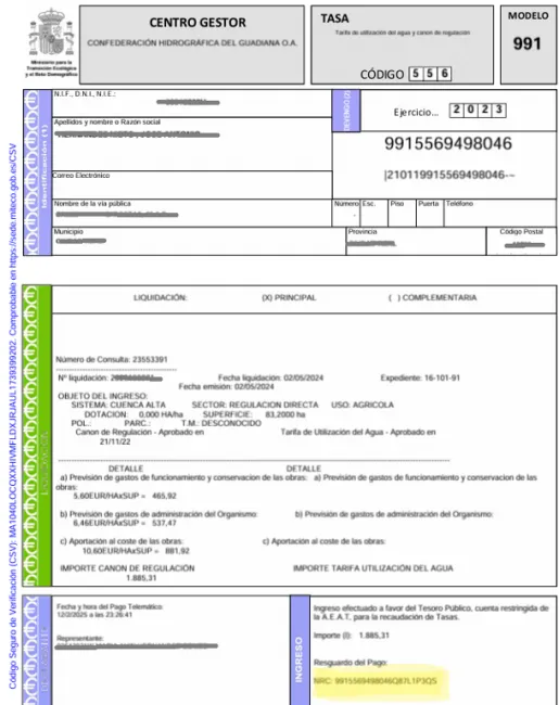 Ejemplo modelo 991