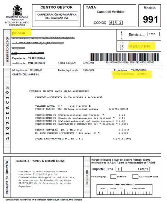 Ejemplo recibo modelo 991