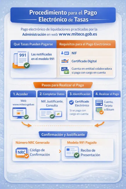 Infografía pago electrónico de tasas