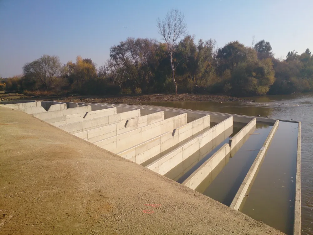 Escala nueva de peces. Azud de la Granadilla (Badajoz).