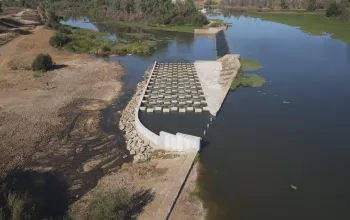Escala de peces del azud de La Pesquera  (Badajoz). Octubre 2025