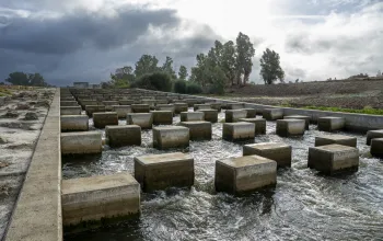 Escala de peces del azud de La Pesquera  (Badajoz). Octubre 2025